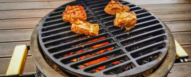 Kamado Grill: which model to choose?