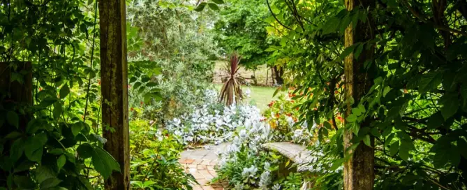 How to make the most of your garden