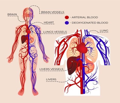 History of healthcare: medical discoveries birthplace